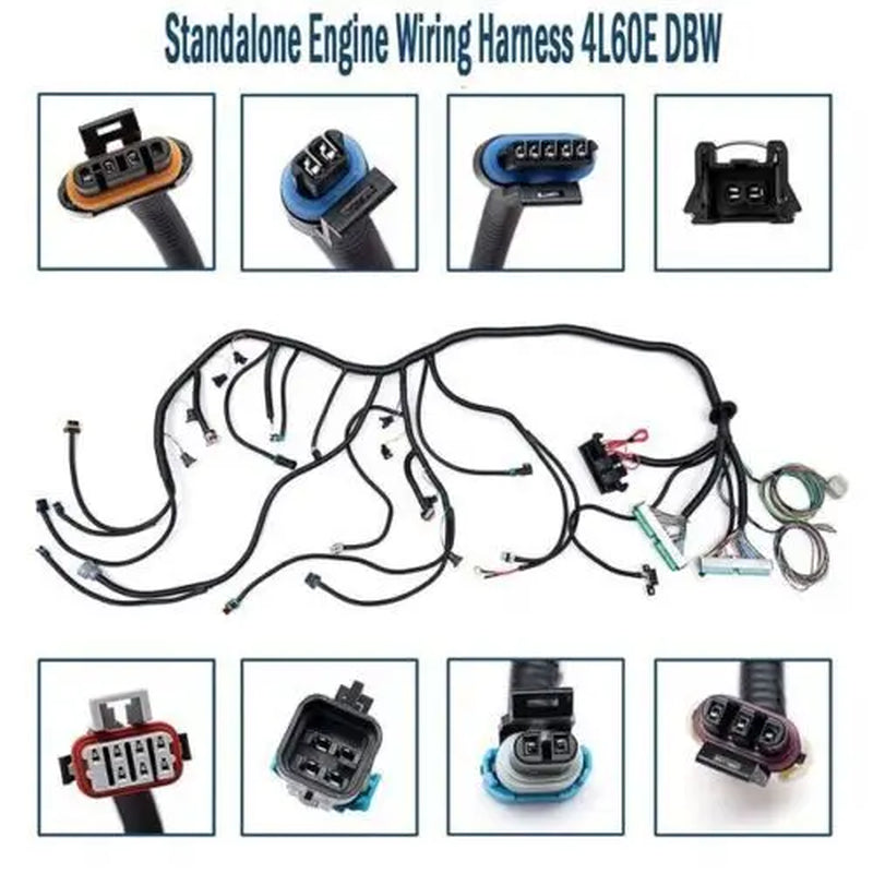 For 2003-2007 LS LS3 Vortec Stand Alone Wire Harness Drive by Wire 4L80E 4.8 5.3 6.0 DBW